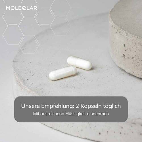 Moleqlar Longevity Qnesium Magnesium Complex Kapseln  - 3