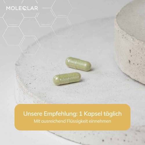 Moleqlar Longevity Spermidin pro Kapseln - 3