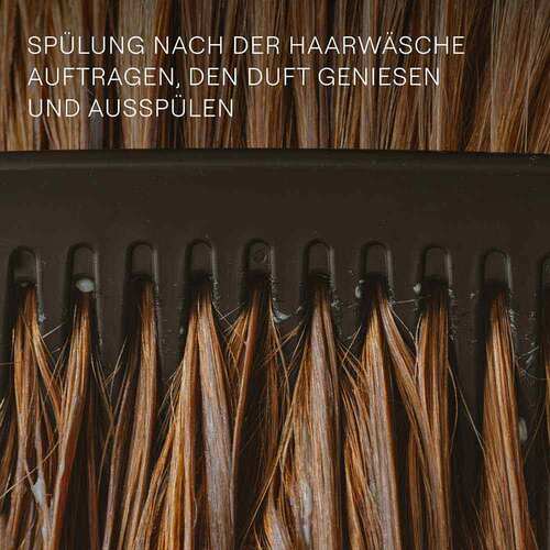 Weleda Geschenkset Haircare Rosmarin - 6