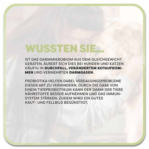 Vetvisan Tierprobiotikum Pulver f&uuml;r Hunde / Katzen - 4
