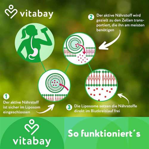 Liposomales Nad + 1000 mg + trans-Reveratrol 600 mg - 5