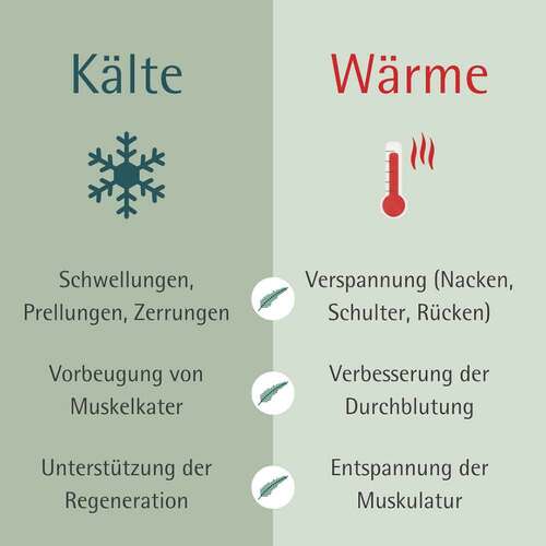 Allg&auml;uer Latschenkiefer k&uuml;hlendes Aktiv Gel - 5