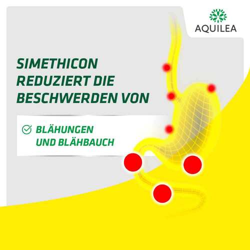 Aquilea Verdauung Total Pulver zum Einnehmen Sticks - 3