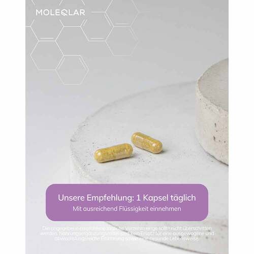 Moleqlar Berberine Mineral-Complex Kapseln - 3