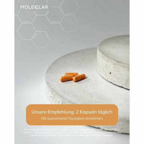Moleqlar Curcusome Curcurmin Complex Kapseln - 3