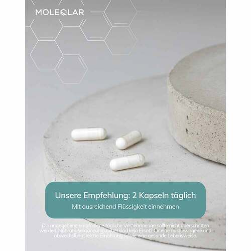 Moleqlar Caakg Calcium-Alphaketoglutarate Kapseln - 3