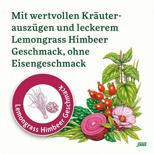 Floradix Eisen Sticks Pulver Salus - 3