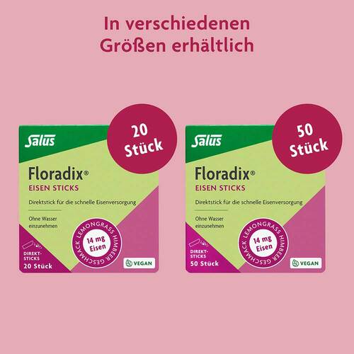 Floradix Eisen Sticks Pulver Salus - 6