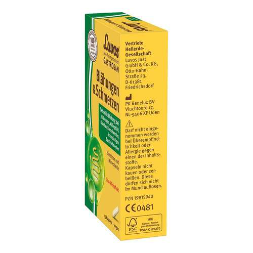Luvos Gastrosan Bl&auml;hungen &amp; Schmerzen Kapseln - 2