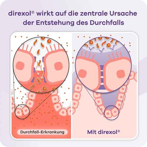 Direxol bei Durchfall Apriwell Hartkapseln - 5