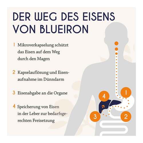 Blueiron Eisen Liquid Fl&uuml;ssigkeit zum Einnehmen - 4