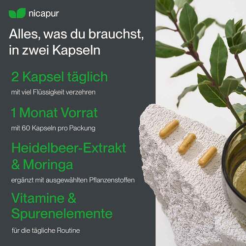 Nicapur Tagstarter Kapseln - 6