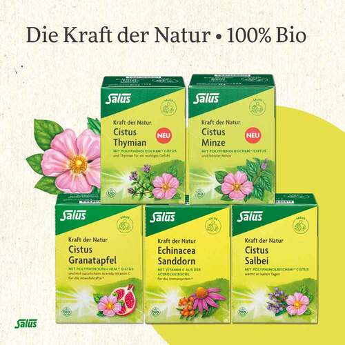 Cistus Spitzwegerich Tee Bio Filterbeutel - 5