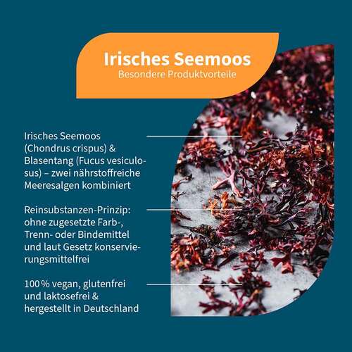 Irisches Seemoos mit Blasentang Kapseln - 2
