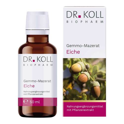 Gemmo-Mazerat Eiche Dr. Koll Quercus pedunculata Tropfen - 1