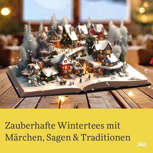 Schneek&ouml;nigin Fr&uuml;chte-Gew&uuml;rztee Bio Salus Fbeutel  - 2