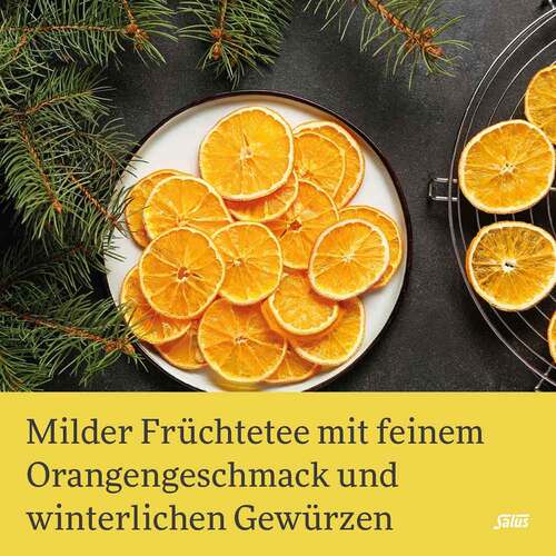 Schneek&ouml;nigin Fr&uuml;chte-Gew&uuml;rztee Bio Salus Fbeutel  - 3