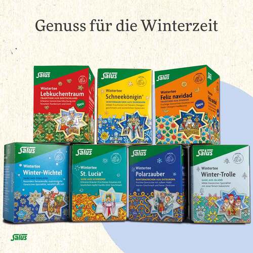 Schneek&ouml;nigin Fr&uuml;chte-Gew&uuml;rztee Bio Salus Fbeutel  - 5