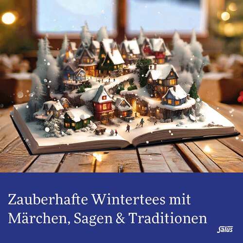 Winter-Wichtel Wintertee Bio Salus Filterbeutel - 2