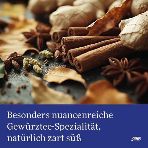 Winter-Wichtel Wintertee Bio Salus Filterbeutel - 3