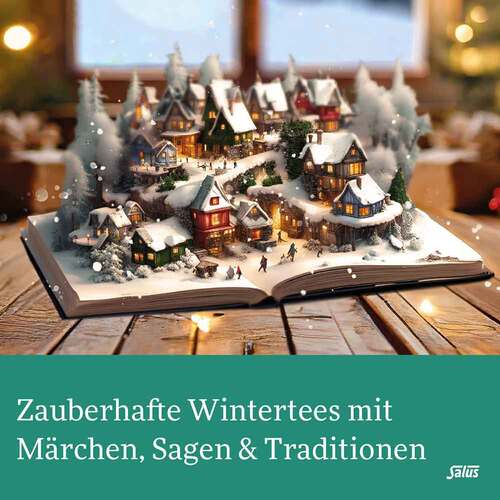 Winter-Trolle Wintertee Gew&uuml;rztee Bio Salus Fbeutel  - 2