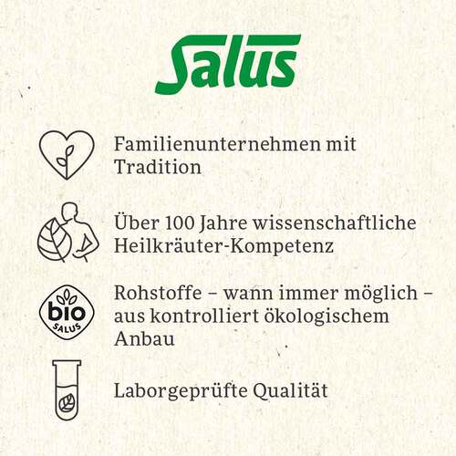 Winter-Trolle Wintertee Gew&uuml;rztee Bio Salus Fbeutel  - 6