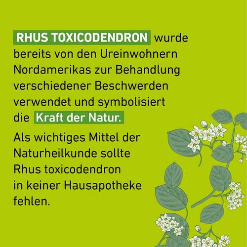 Rhus Toxicodendronicodendron D 6 Globuli Pfl&uuml;ger Globulisp. - 4