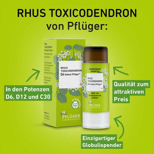Rhus Toxicodendronicodendron D 12 Globuli Pfl&uuml;ger Globulisp. - 2