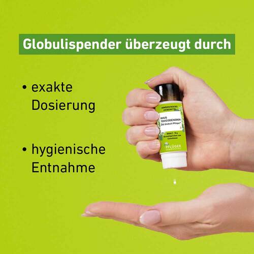 Rhus Toxicodendronicodendron D 12 Globuli Pfl&uuml;ger Globulisp. - 3